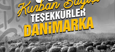 Kurban kampanyası tamamlandı